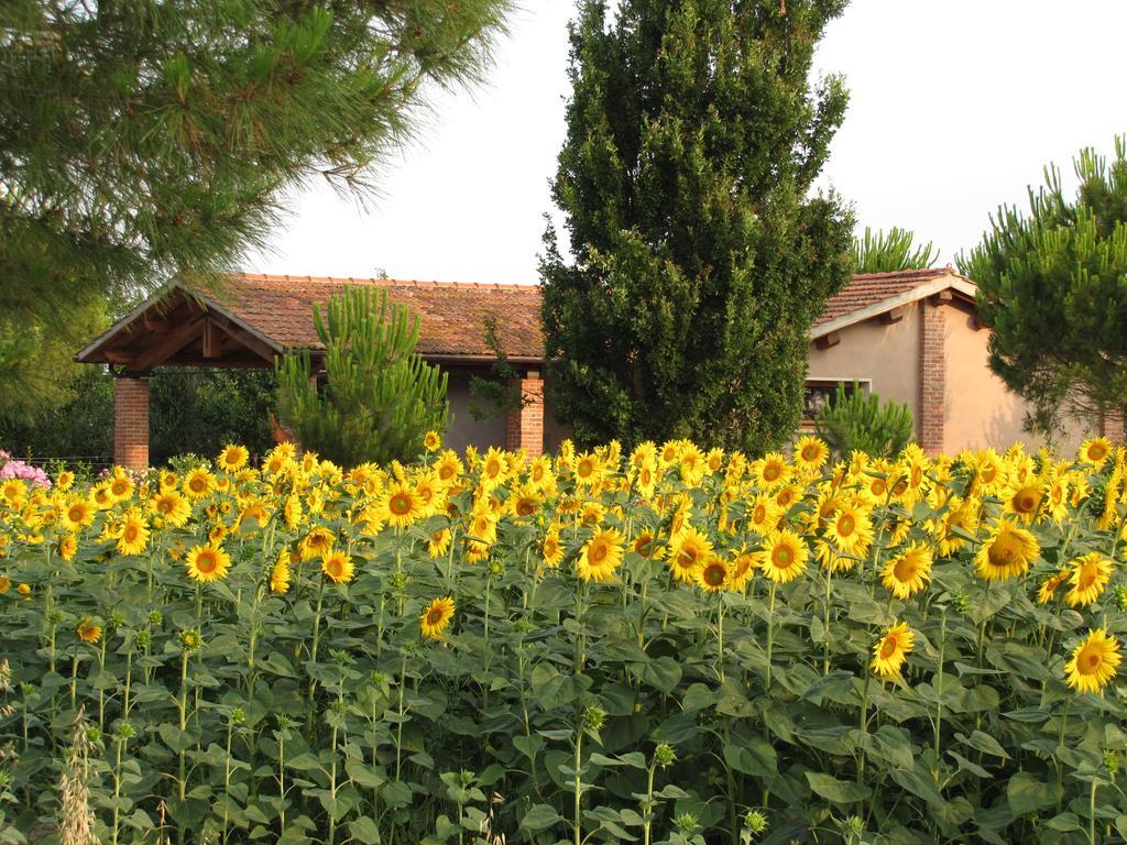 Agriturismo Salcino Villa Grosseto Exterior photo